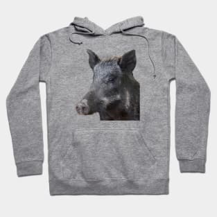 Wild Boar Vector Zodiac Animal Cut Out Hoodie